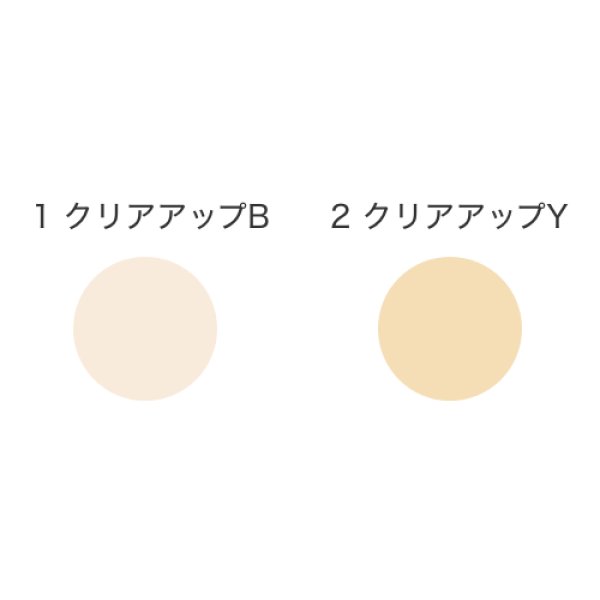 画像2: 【カバーマーク】 ルースパウダー（リフィル） (2)